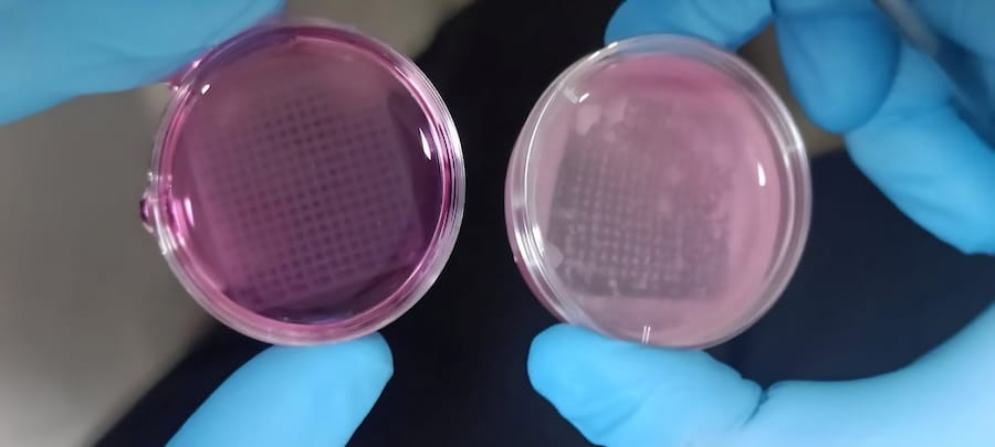 3D打印仿生皮肤能否替代化妆品动物实验？